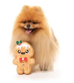 FuzzYard Mistle-Dough - Dog Toy