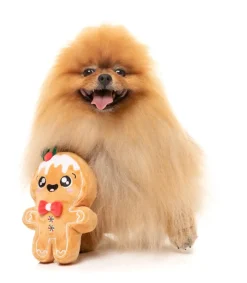 FuzzYard Mistle-Dough - Dog Toy