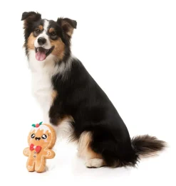 FuzzYard Mistle-Dough - Dog Toy