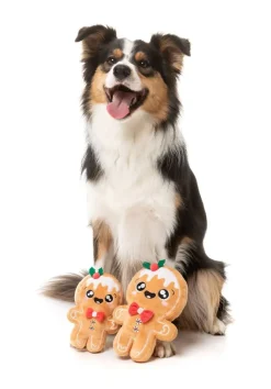 FuzzYard Mistle-Dough - Dog Toy