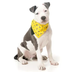 FuzzYard Monkey Mania Pet Bandana