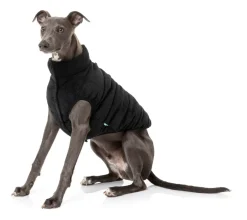 FuzzYard Mosman Puffer Jacket - Black