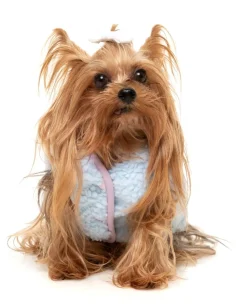 FuzzYard Nara 25 Jacket - Blue