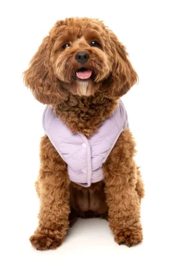 FuzzYard Nara 25 Jacket - Blue