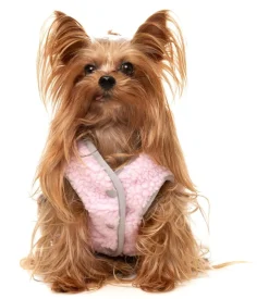 FuzzYard Nara 25 Jacket - Pink