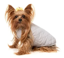 FuzzYard Nara 25 Jacket - Pink