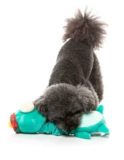 FuzzYard Neck Minnits - Loch Neck Monster