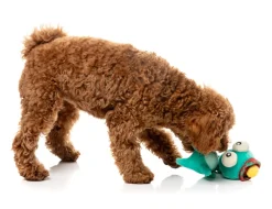 FuzzYard Neck Minnits - Loch Neck Monster