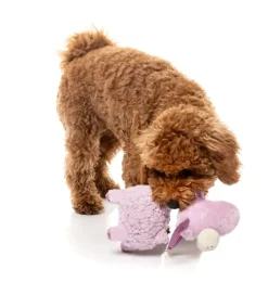 FuzzYard Neck Minnits - Neckita The Llama