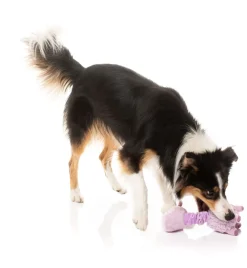 FuzzYard Neck Minnits - Neckita The Llama