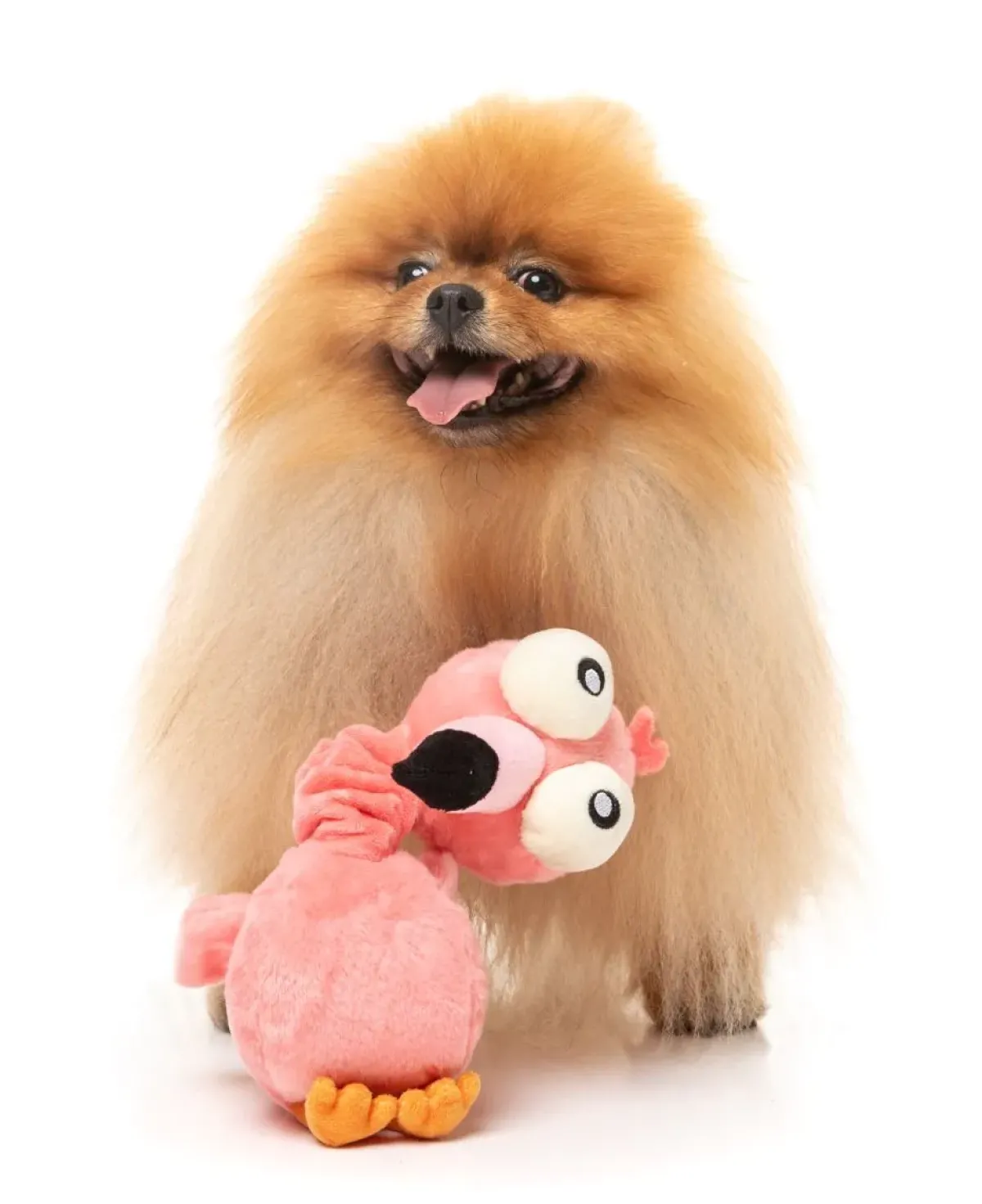 FuzzYard Neck Minnits - Neckole The Flamingo