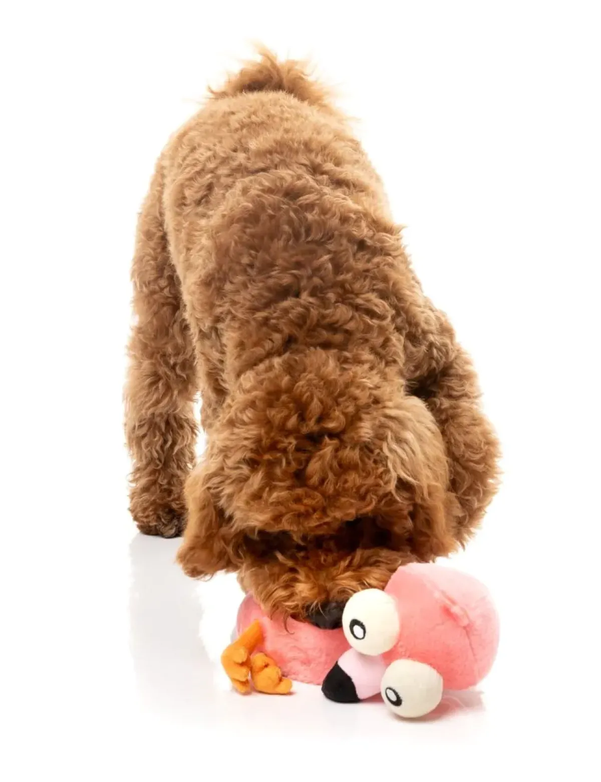 FuzzYard Neck Minnits - Neckole The Flamingo