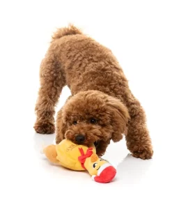 FuzzYard Never Skip Leg Day Chook - Dog Toy