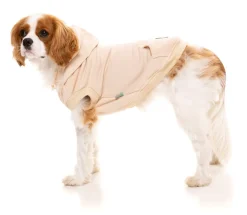 FuzzYard Nude Street Hoodie