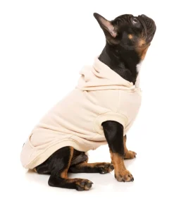 FuzzYard Nude Street Hoodie