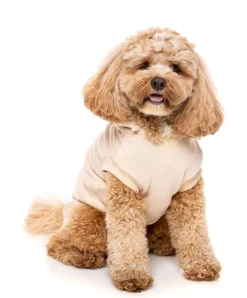 FuzzYard Nude Street Hoodie