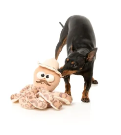 FuzzYard Octo-Posse Dog Toy - Sir David Octoborough