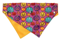 FuzzYard Oh My Gourd! - Dog 2 Pack