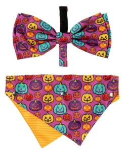 FuzzYard Oh My Gourd! - Dog 2 Pack