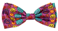 FuzzYard Oh My Gourd! - Dog 2 Pack