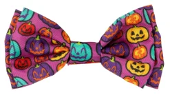 FuzzYard Oh My Gourd! - Dog 2 Pack