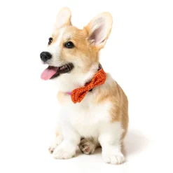 FuzzYard Orange Safari Pet Bowtie