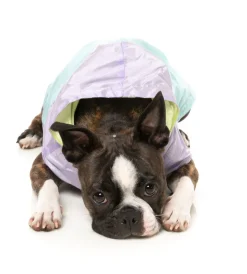 FuzzYard Ormond Raincoat - Purple/Blue