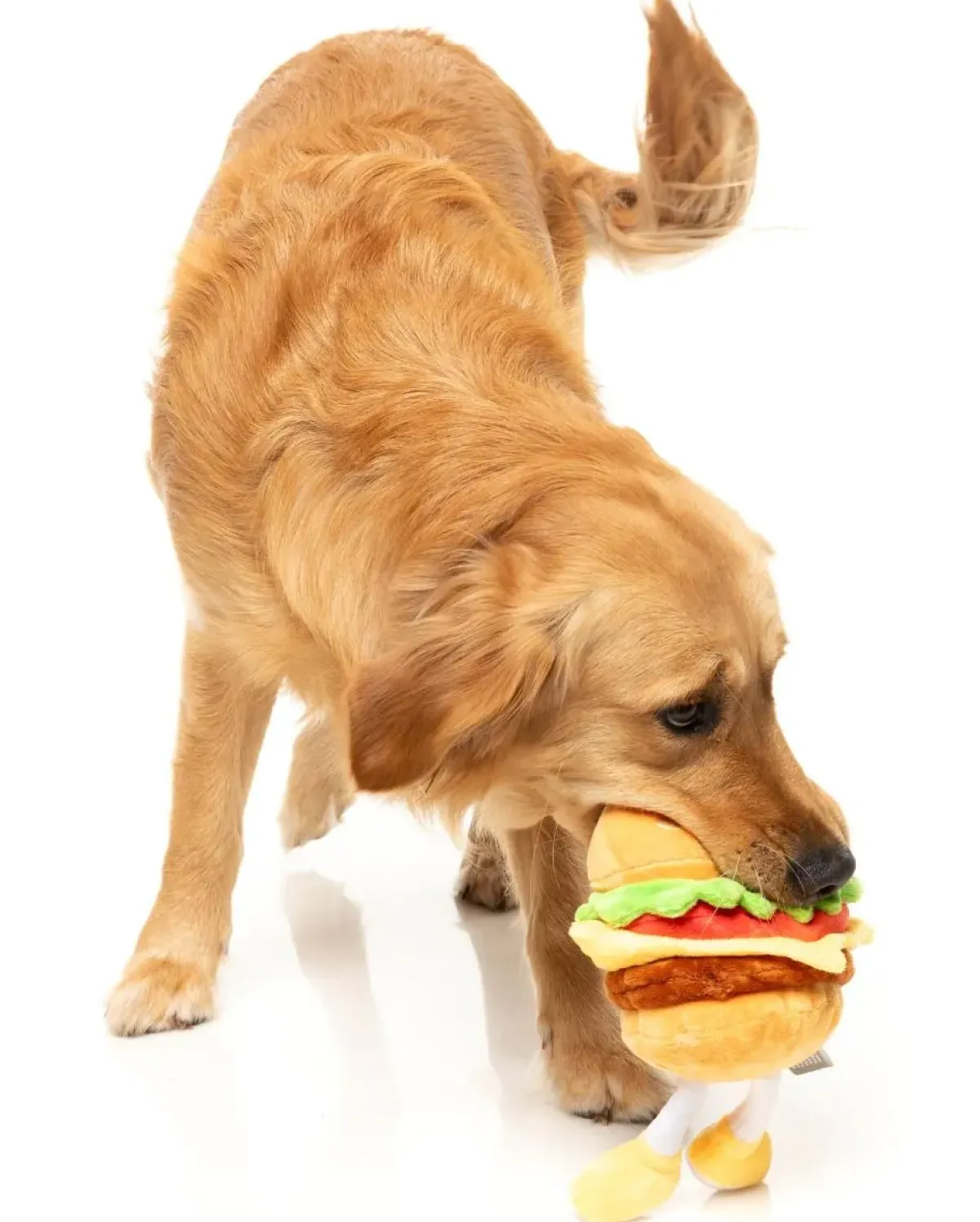 FuzzYard Patty - The Homies - Dog Toy