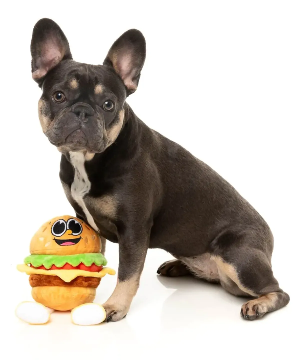 FuzzYard Patty - The Homies - Dog Toy