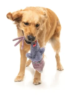 FuzzYard Peace Out Pigeon - The Yeetz - Dog Toy