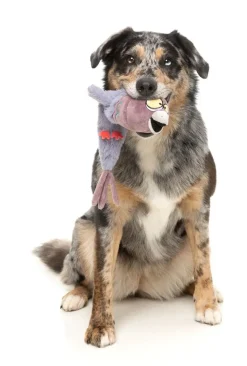 FuzzYard Peace Out Pigeon - The Yeetz - Dog Toy