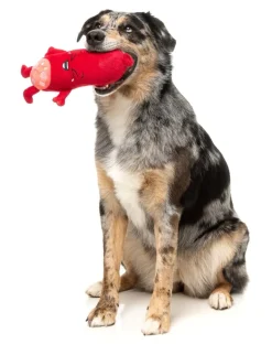 FuzzYard Pepper-Toni - Dog Toy