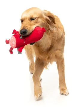 FuzzYard Pepper-Toni - Dog Toy