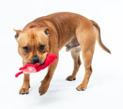 FuzzYard Pepper-Toni - Dog Toy