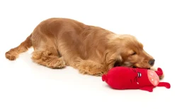 FuzzYard Pepper-Toni - Dog Toy