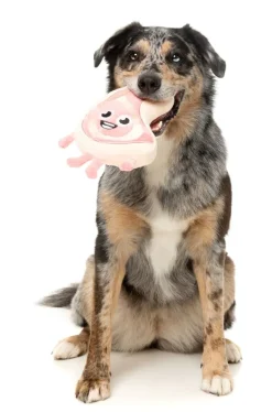 FuzzYard Piggy Smalls - Dog Toy