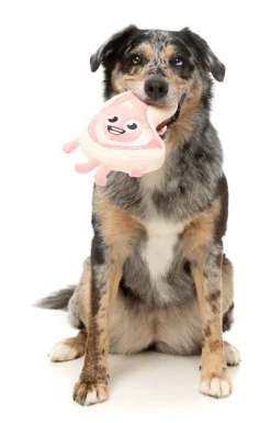 FuzzYard Piggy Smalls - Dog Toy