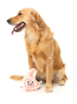 FuzzYard Piggy Smalls - Dog Toy