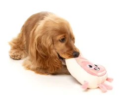 FuzzYard Piggy Smalls - Dog Toy