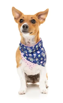 FuzzYard Pluto Pup - Bandana