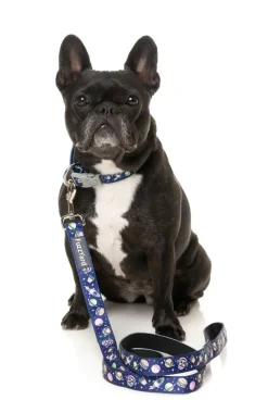 FuzzYard Pluto Pup - Dog Lead