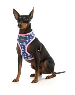 FuzzYard Pluto Pup - Harness
