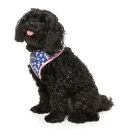 FuzzYard Pluto Pup - Harness