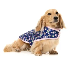 FuzzYard Pluto Pup - Wrap Vest