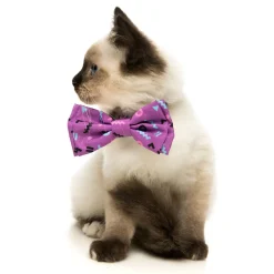 FuzzYard Prince Pet Bow Tie
