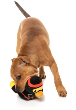 FuzzYard Quackie Chan - Dog Toy