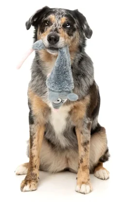 FuzzYard Rack Off Rat - The Yeetz - Dog Toy