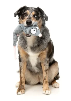 FuzzYard Rack Off Rat - The Yeetz - Dog Toy