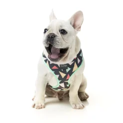 FuzzYard Rad Dog Harness