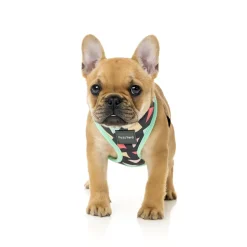 FuzzYard Rad Dog Harness